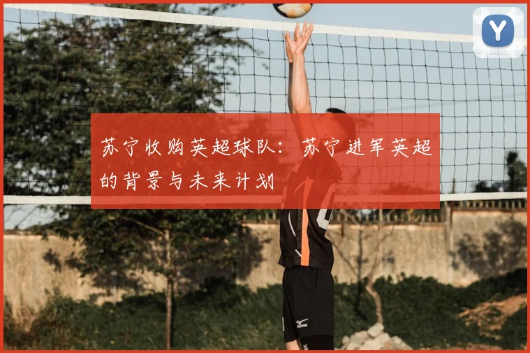 苏宁收购英超球队:苏宁进军英超的背景与未来计划